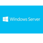 Microsoft Server Std 2019 64B French 1pk DSP OEI DVD 16 Core